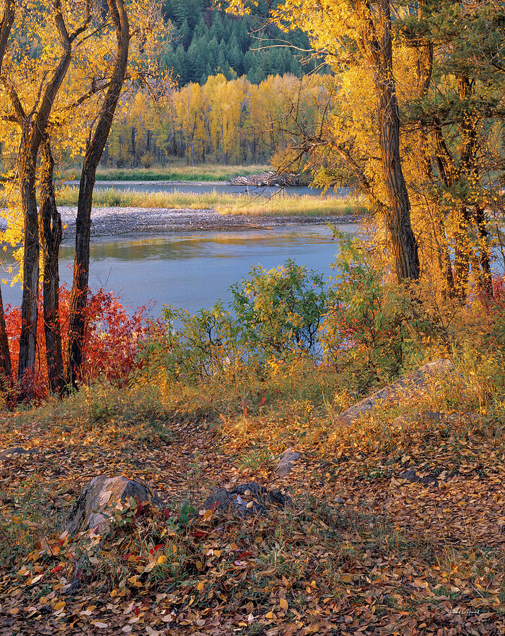 Autumn River Light Photograph by Leland D Howard