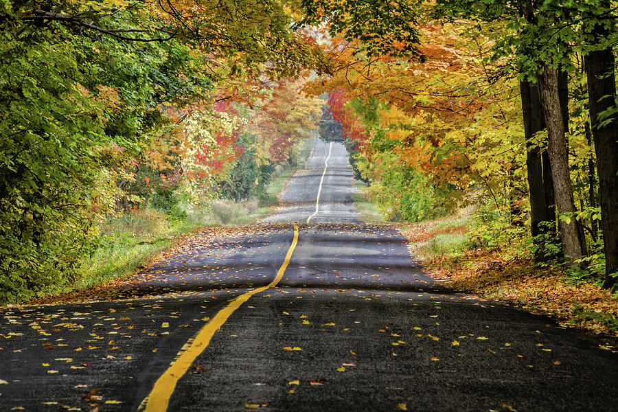 Autumn Road 1 Photograph by Robert Alsop - Fine Art America