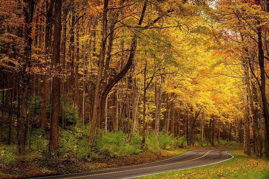 Autumn Road Photograph by Andrew Soundarajan
