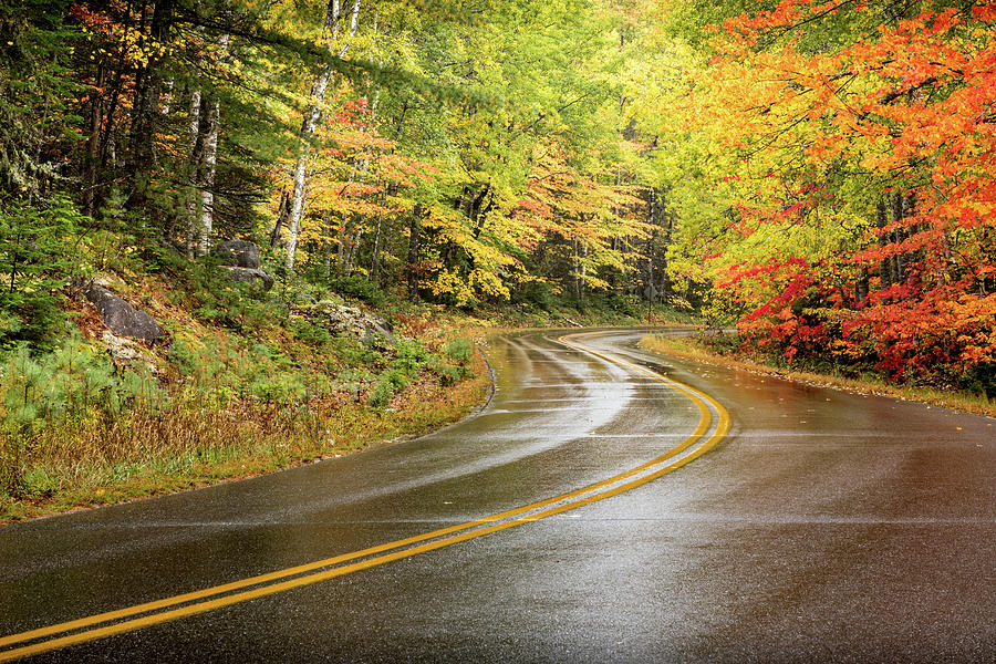 Autumn Road Photograph by Colin Chase