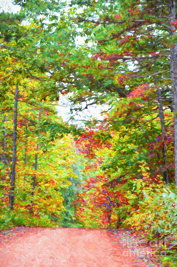 Autumn Road - Digital Paint Photograph by Debbie Portwood