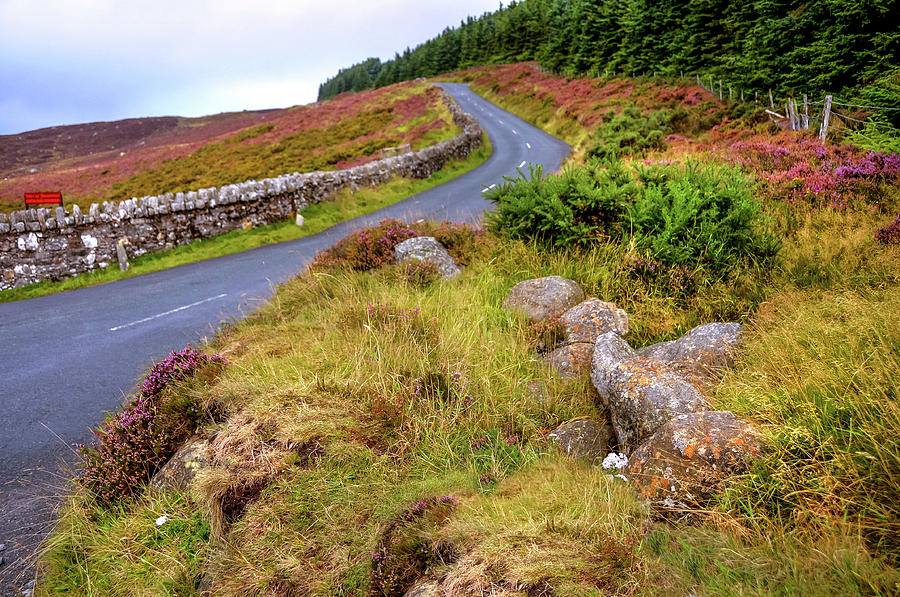 Autumn Road in Wicklow Hills Photograph by Jenny Rainbow