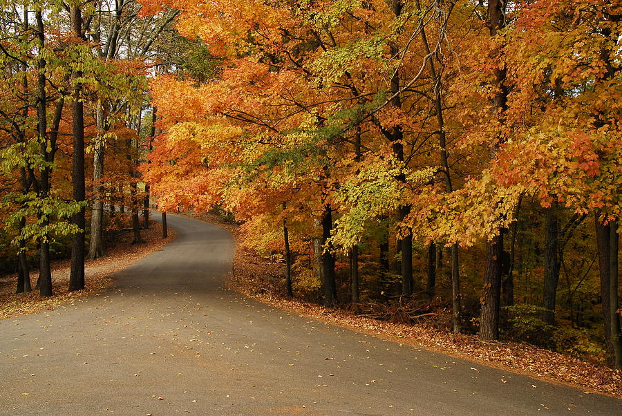 Nature Photograph - Autumn Road by James Elam