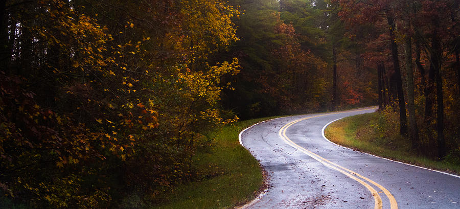 Autumn Road Panorama Photograph by Parker Cunningham