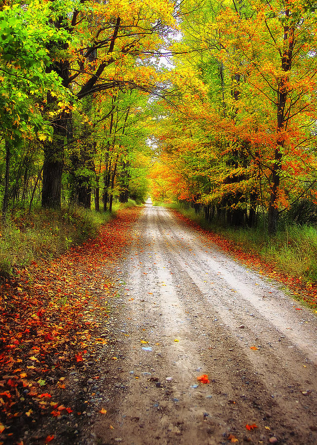 Autumn Road Photograph by Peg Runyan