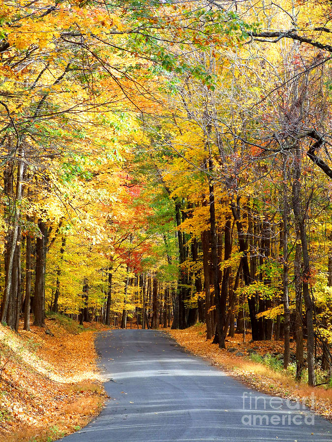 Autumn Road Photograph Photograph by Kristen Fox