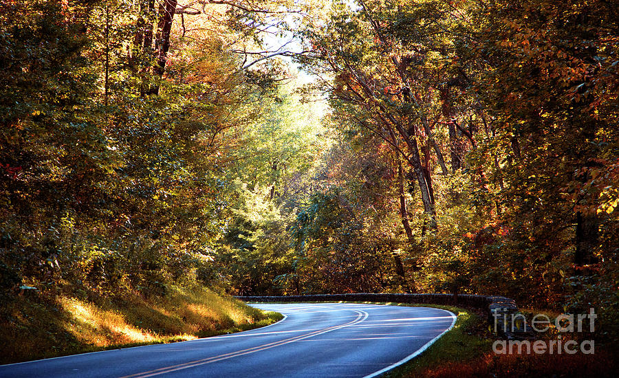 Autumn Road Photograph by Rebecca Davis