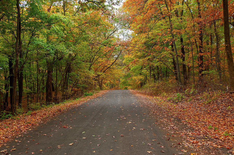 Autumn Road Photograph by Steve Stuller
