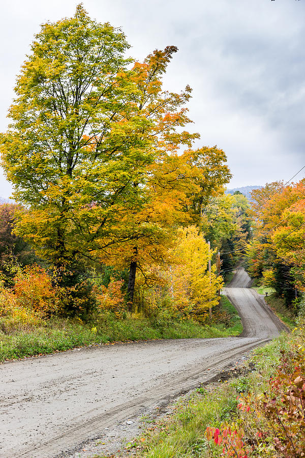 Autumn Road Photograph by Tim Kirchoff