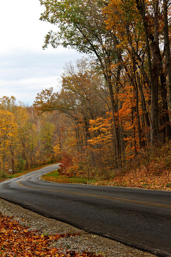 Autumn Road Trip 2 Photograph by Shawna Rowe