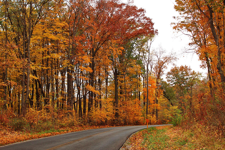 Autumn Road Trip Photograph by Shawna Rowe
