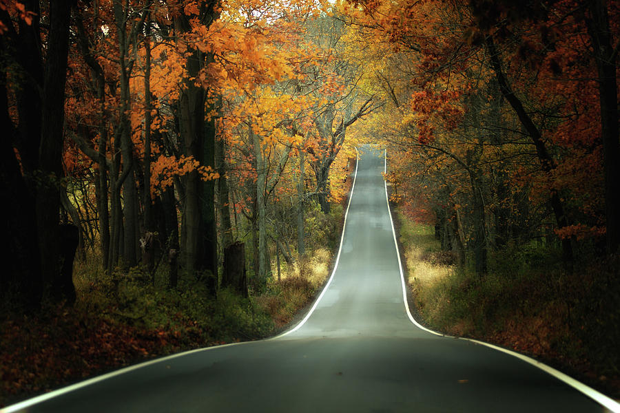 Autumn Road Photograph By Victoria Winningham Fine Art America