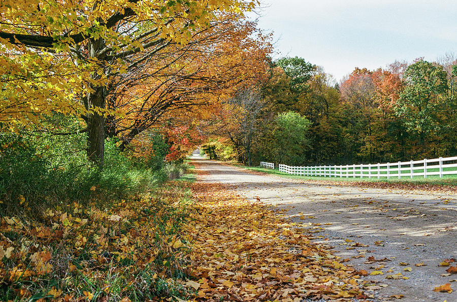 Autumn road with fence  Photograph by John McGraw