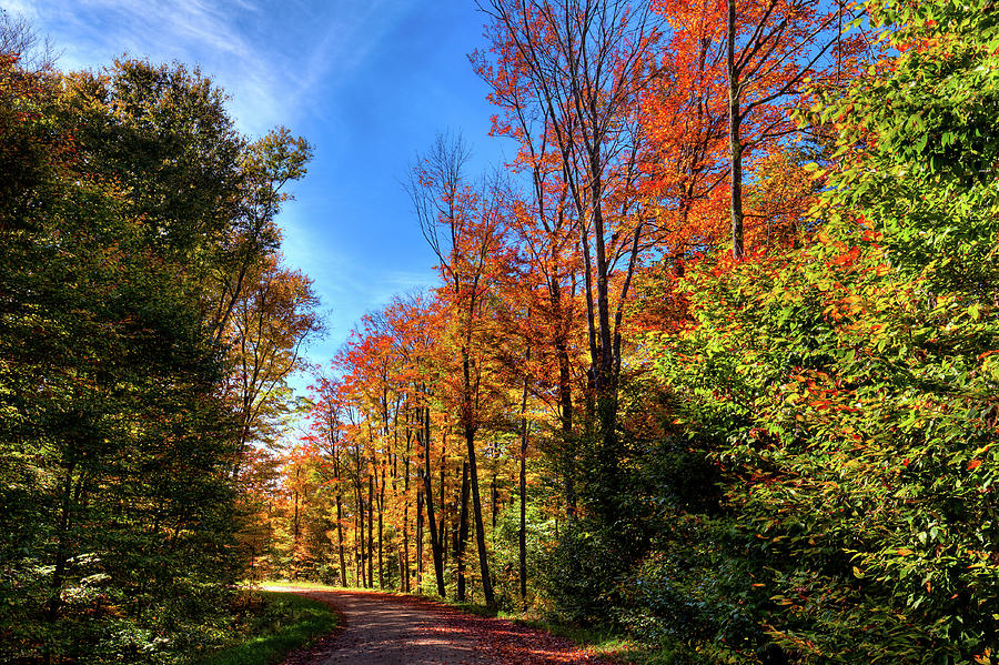 Autumn Roads Photograph by David Patterson