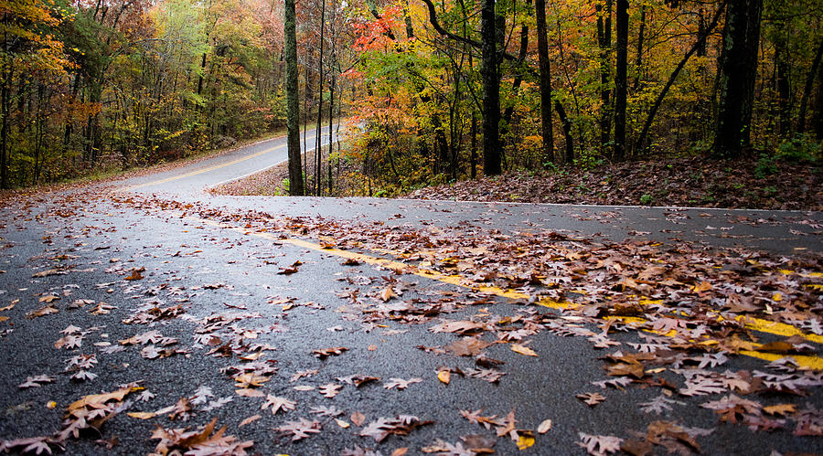 Autumn Roads Photograph by Parker Cunningham