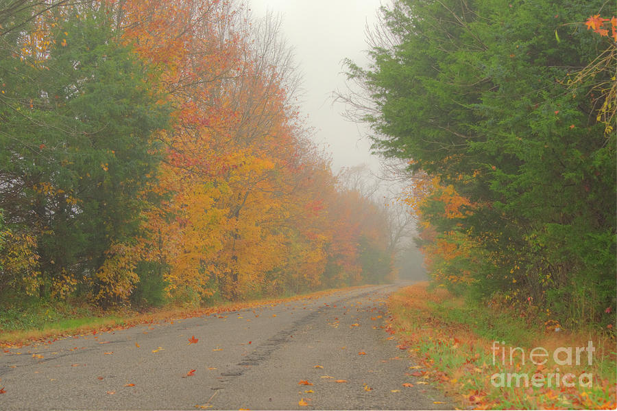 Autumn Roads by Wanda Krack Autumn Roads by Wanda Krack