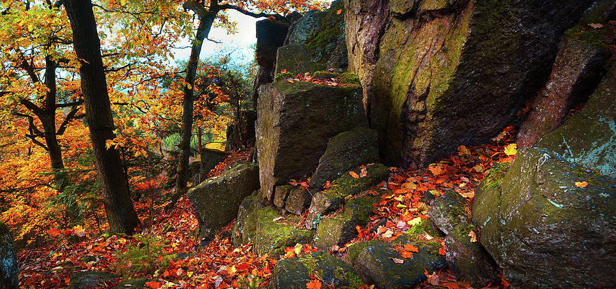 Fall Photograph - Autumn Rocky Forest Panorama by Jenny Rainbow
