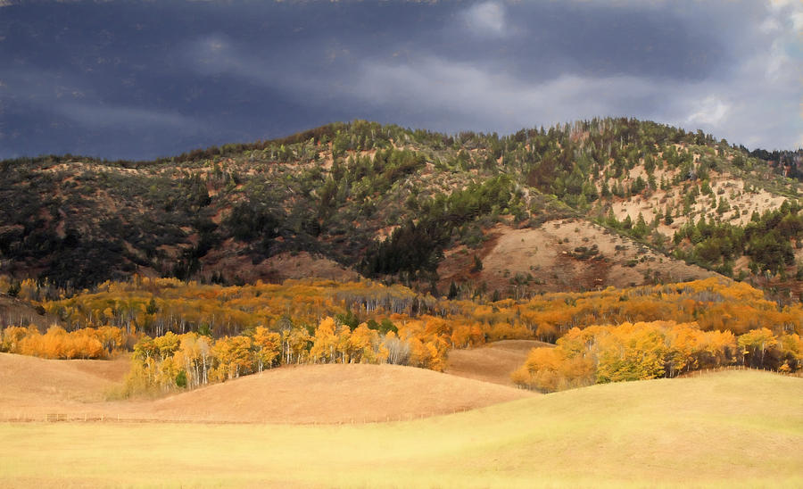 Autumn Rolling Hills in Wyoming Photograph by Donna Kennedy
