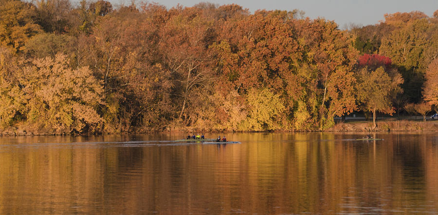Autumn Rowing Photograph by Bill Cannon