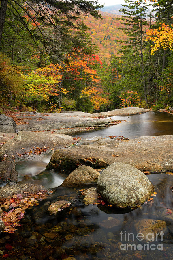 Autumn Runoff Photograph by Aaron Whittemore
