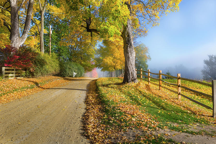 Fall Photograph - Autumn Rural Road by Bill Wakeley