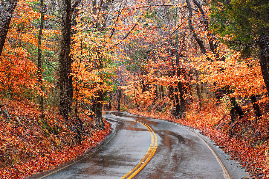 Autumn rural road Photograph by Karen Smale