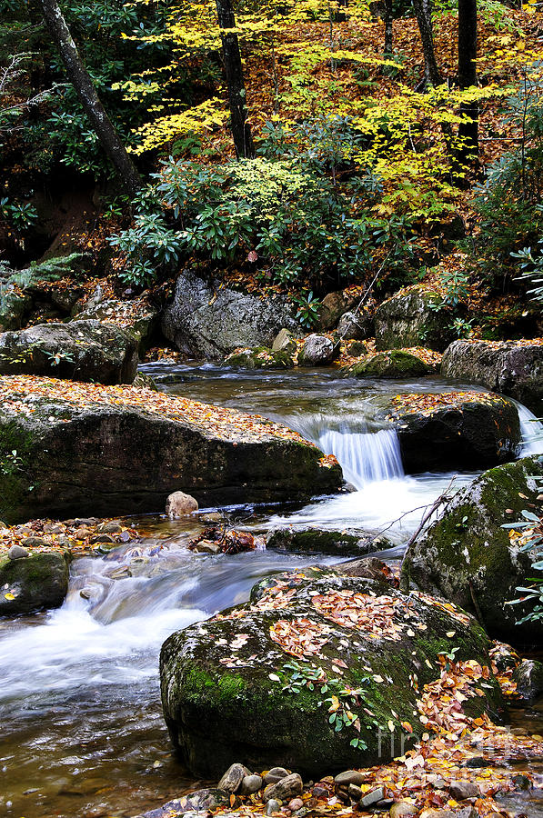 Fall Photograph - Autumn Rushing Mountain Stream by Thomas R Fletcher