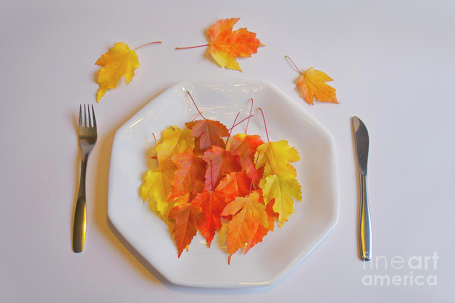 Fall Photograph - Autumn Salad by Veikko Suikkanen