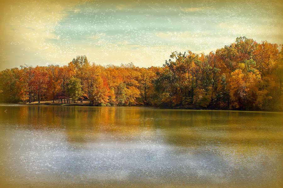 Tree Photograph - Autumn by Sandy Keeton