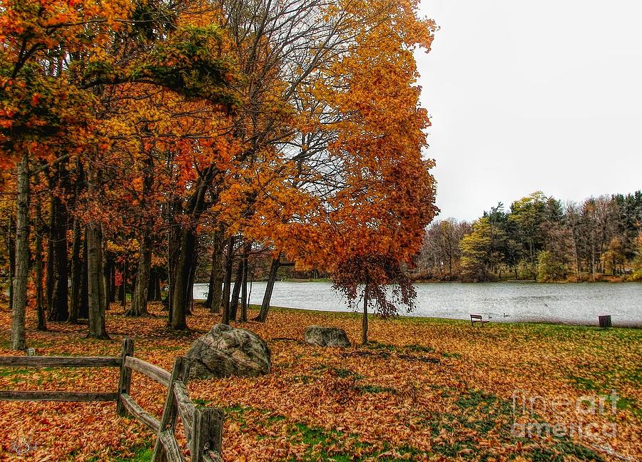 Autumn Scene Green Lake Orchard Park New York Photograph by Rose Santuci-Sofranko