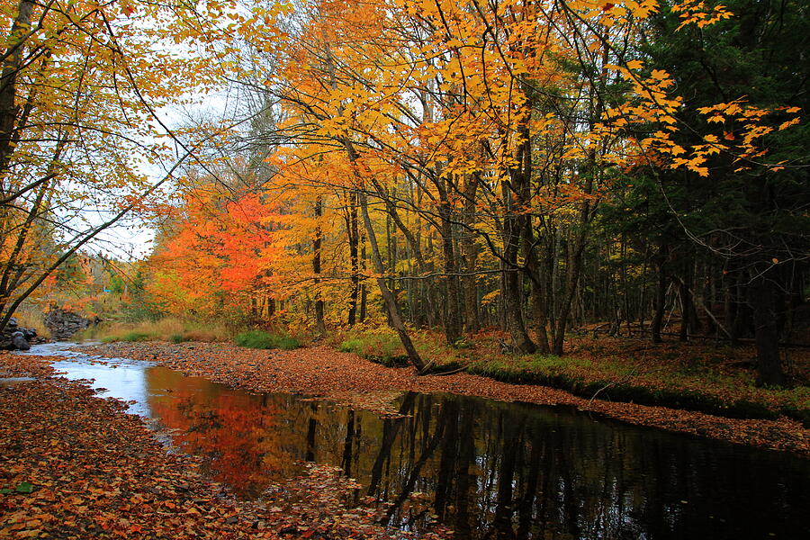 Autumn Scene Photograph by Kathleen Sartoris - Fine Art America