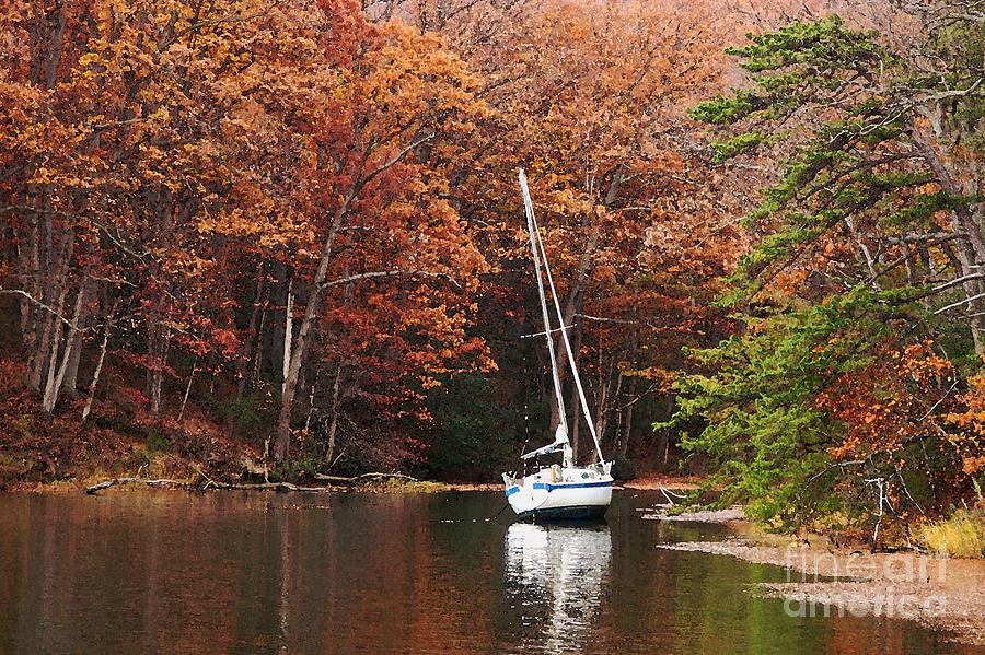Autumn Scenery at Chesapeake Bay Photograph by Hideaki Sakurai Fine