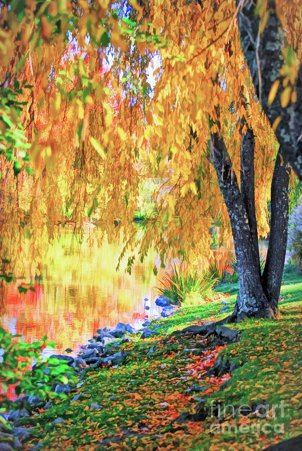 Autumn Scenery at the Virginia Tech Duck Pond Photograph by Kerri Farley