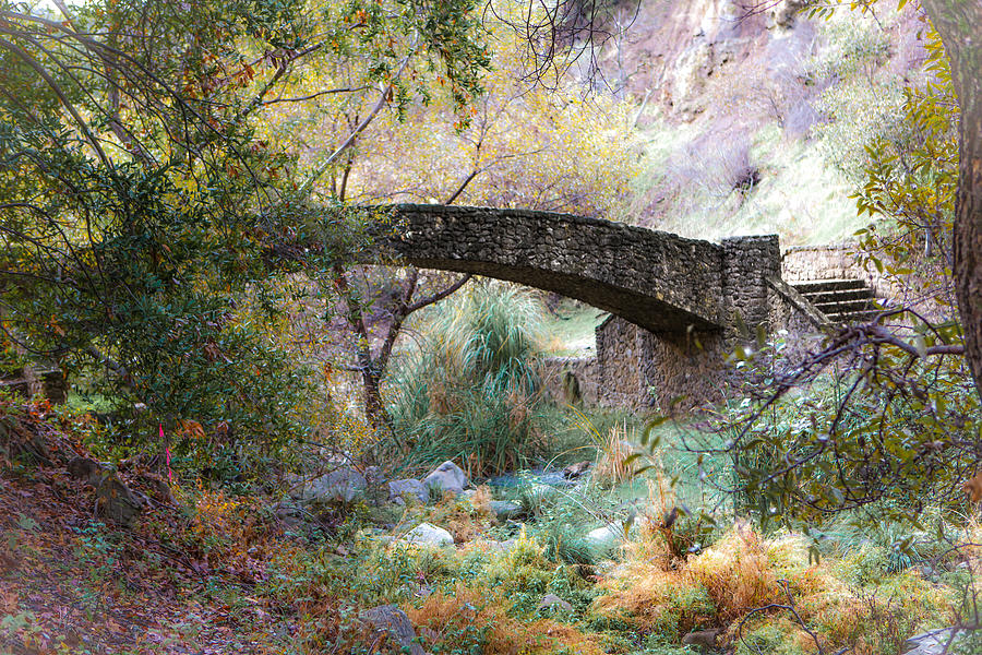 Nature Photograph - Autumn Scenery with Stone Arch Bridge by Jiayin Ma