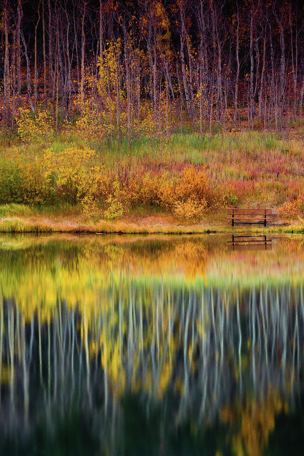 Autumn Secrets Photograph by John De Bord