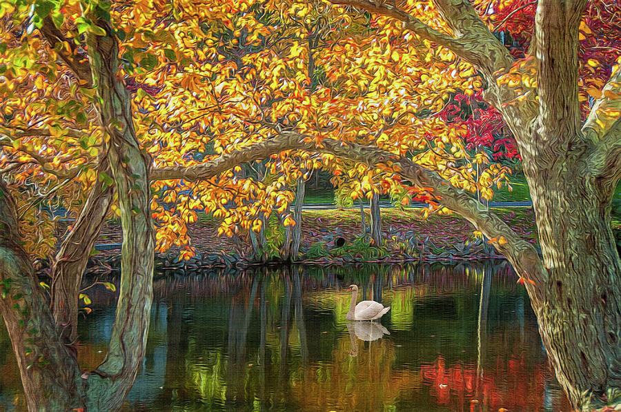 Autumn Serenity Photograph by Cathy Kovarik