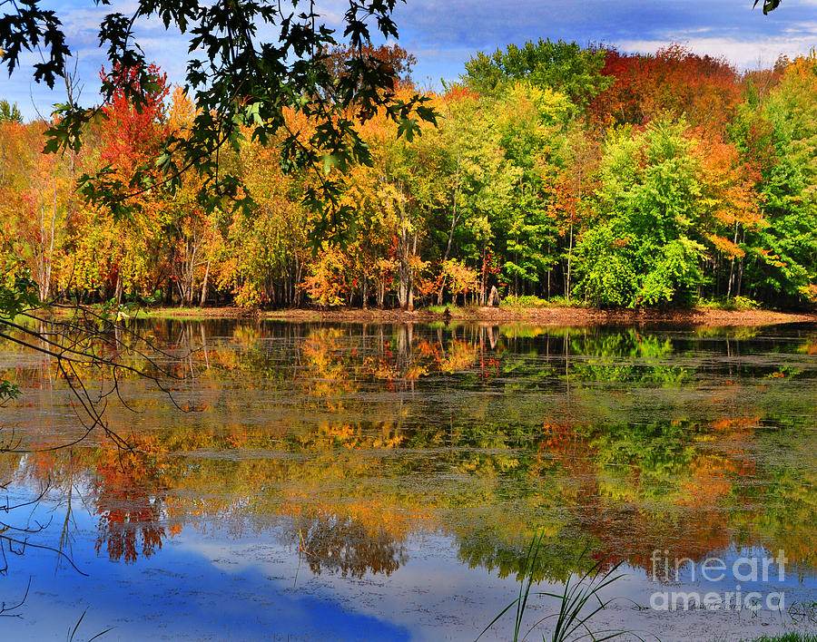 Autumn Serenity Photograph by Diane E Berry