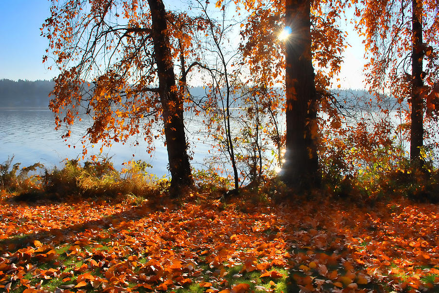 Autumn. Photograph by Sergey and Svetlana Nassyrov