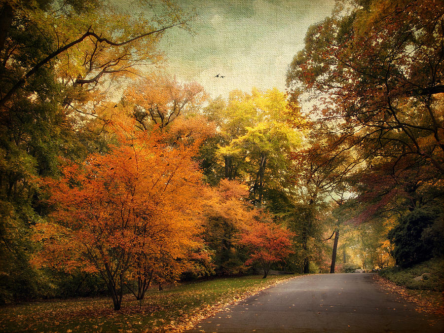 Autumn Settles In Photograph by Jessica Jenney