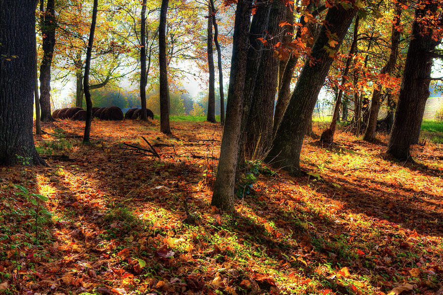 Autumn Shadows in the Blue Ridge Photograph by Dan Carmichael