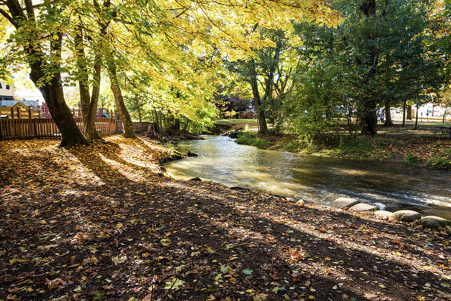 Autumn Shadows on Fishtrap Creek Photograph by Tom Cochran