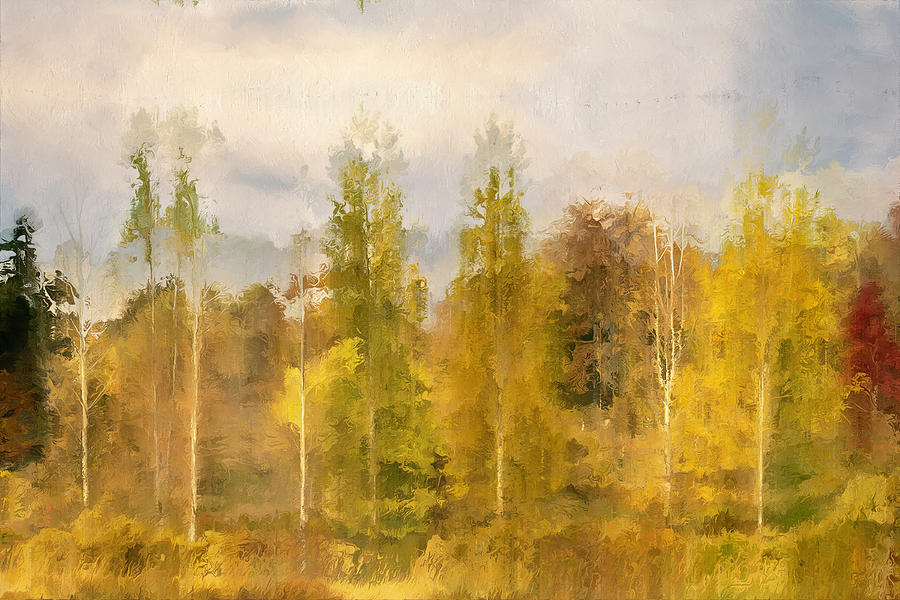 Tree Digital Art - Autumn Shear Poplars by Ronald Bolokofsky