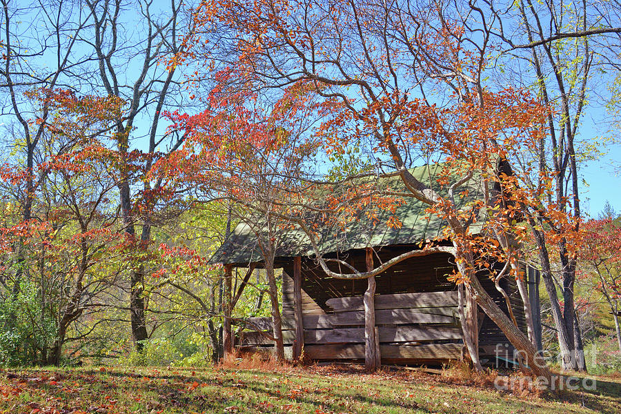 Autumn Shed  Photograph by Savannah Gibbs