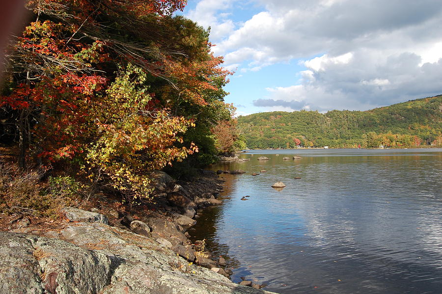 Autumn Shoreline Photograph By Dale R Preston Fine Art America