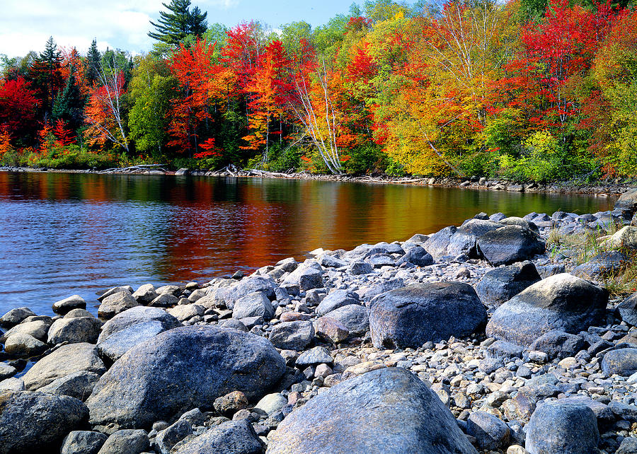 Autumn Shoreline Photograph by Frank Houck