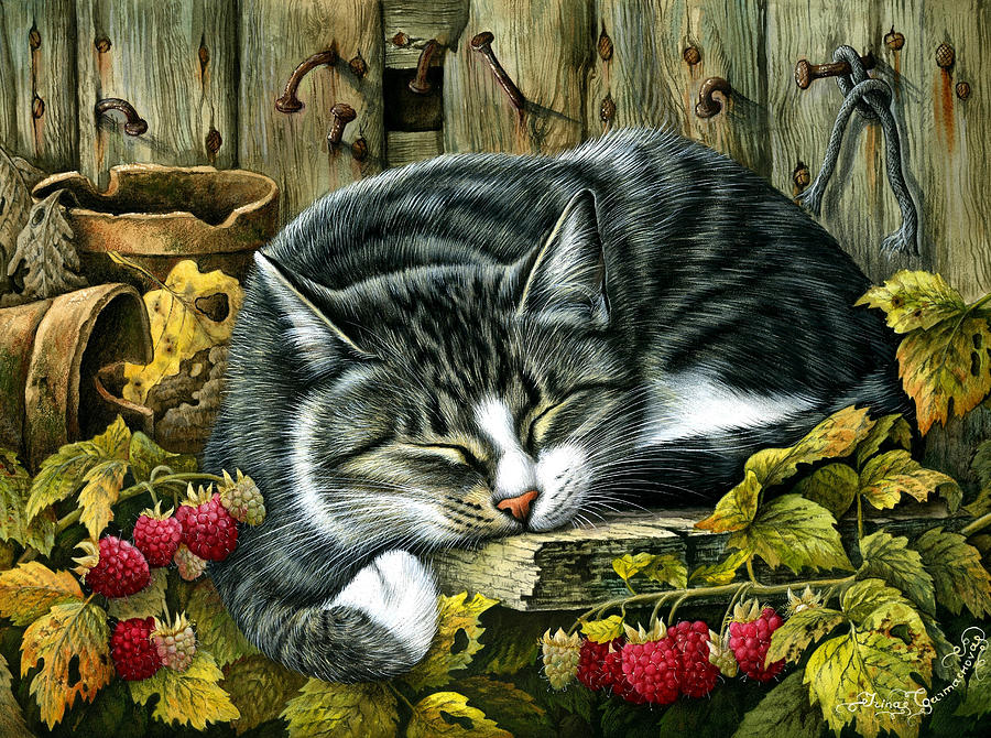 Autumn Siesta Photograph by MGL Meiklejohn Graphics Licensing - Fine ...