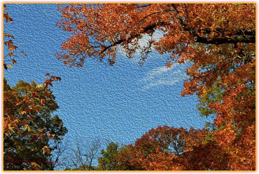 Autumn Sky Digital Art by Sonali Gangane