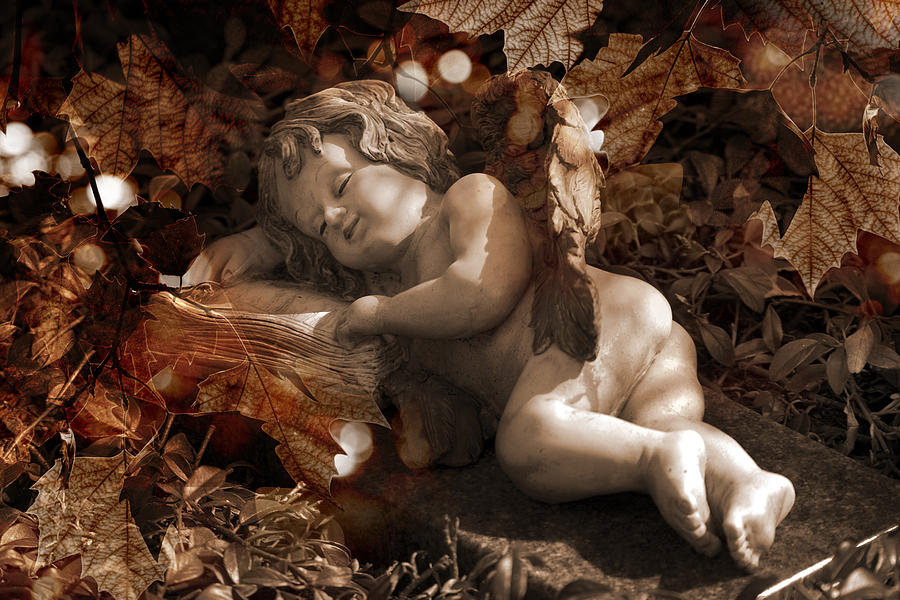 Autumn Sleep Photograph by Marc Huebner