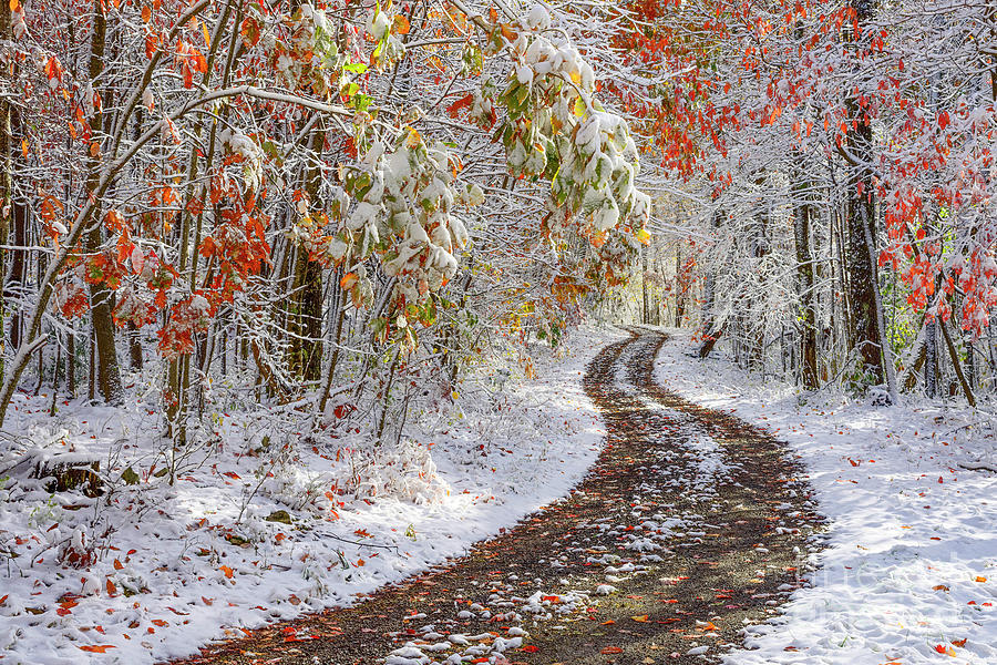 Autumn Snow Country Road Photograph by Thomas R Fletcher