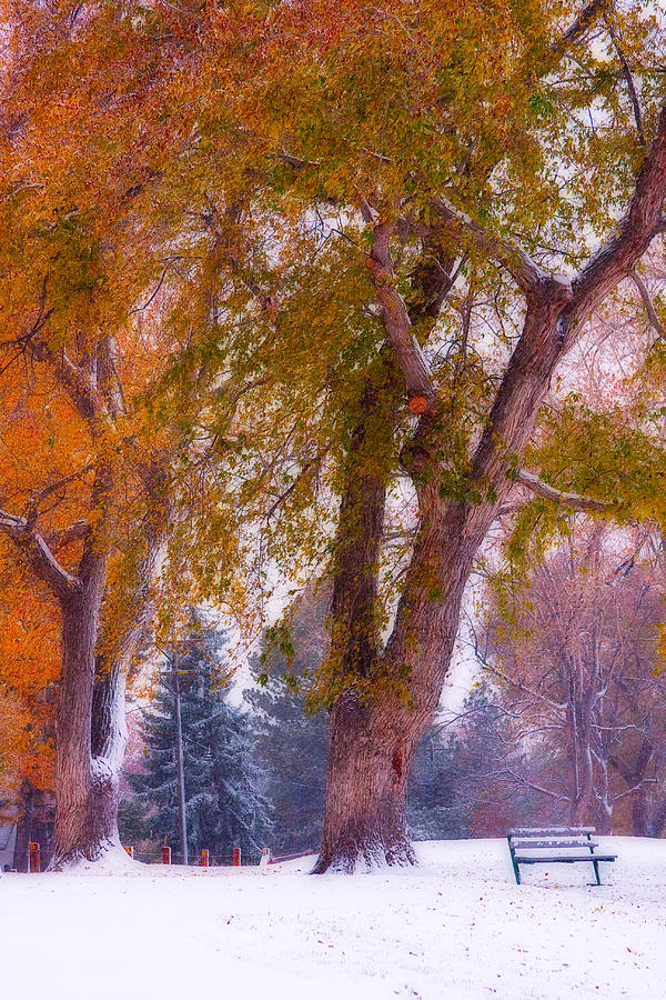 Autumn Snow Park Bench Peace Photograph by James BO Insogna